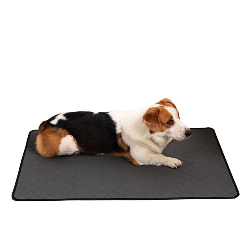 Pet Pad 3