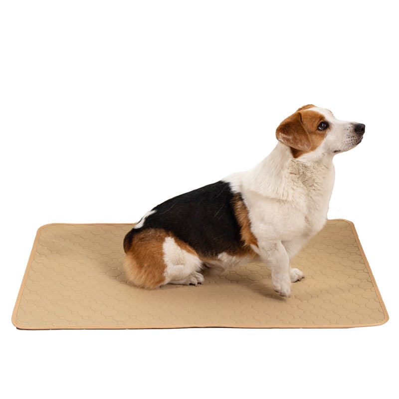 Pet Pad 2