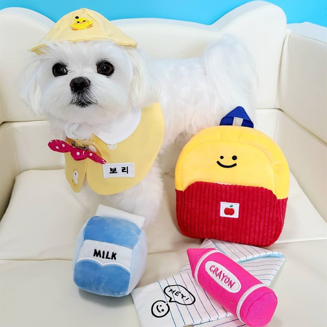 Dog School Bag Toy