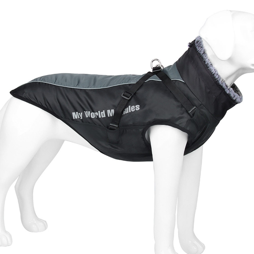 Dog in 6XL Jacket