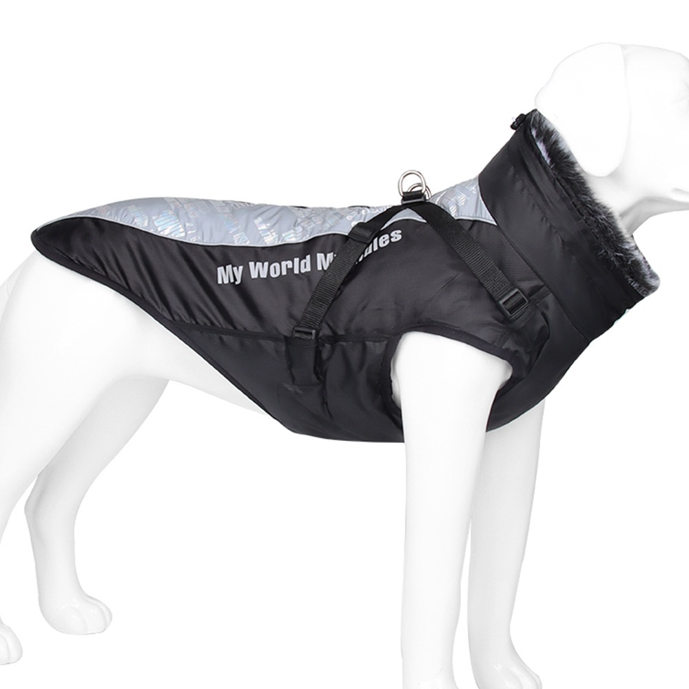 Dog in 5XL Jacket