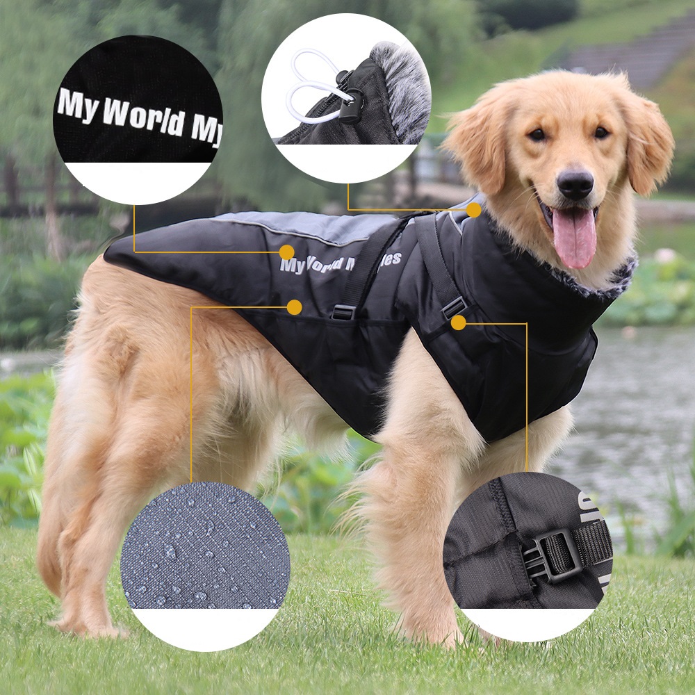 Dog in Reflective Radiant Blue Jacket