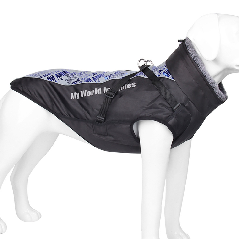 Dog in 4XL Jacket