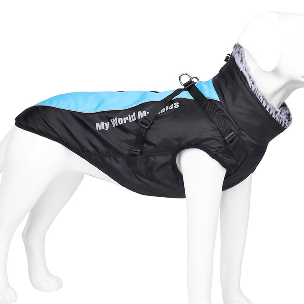 Dog in Reflective-glare White Jacket
