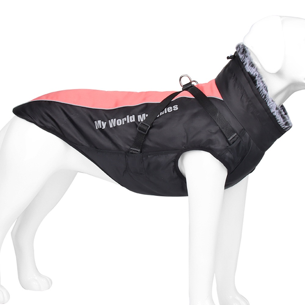 Dog in XL Jacket