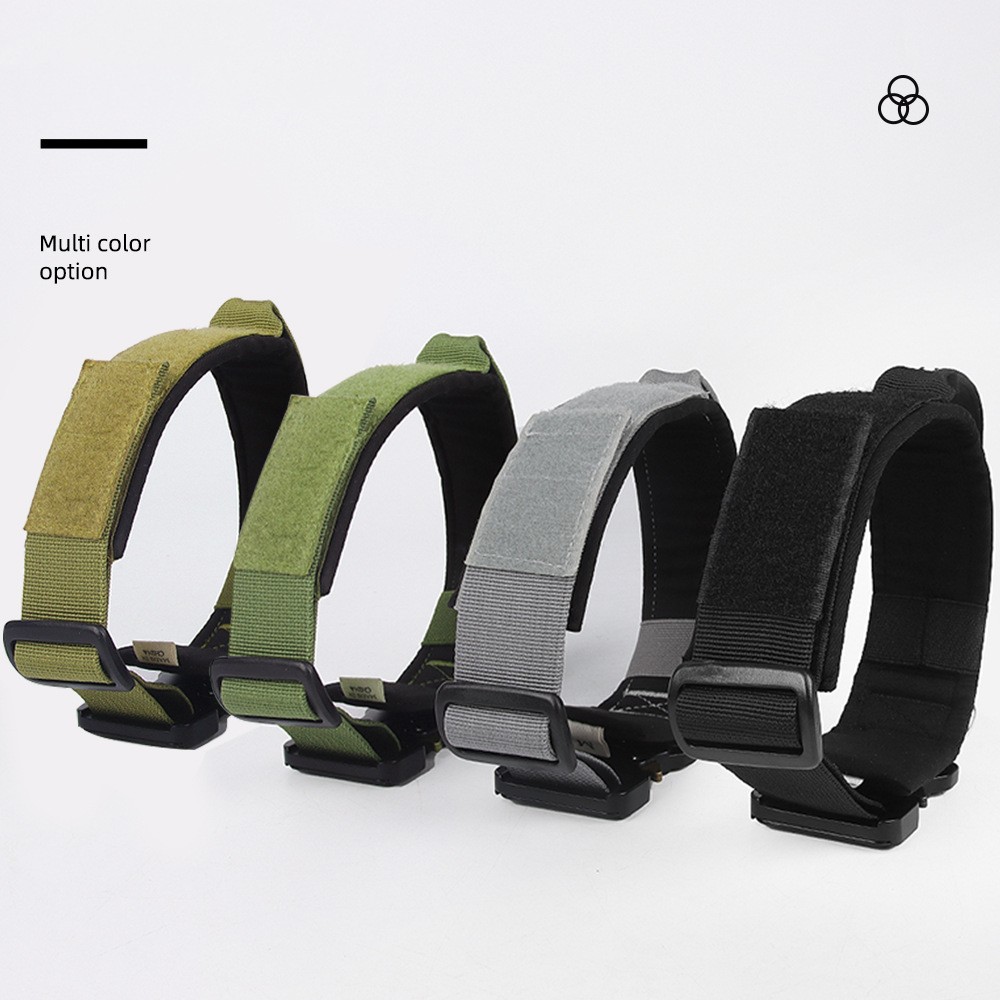 Pet Collar Image 2