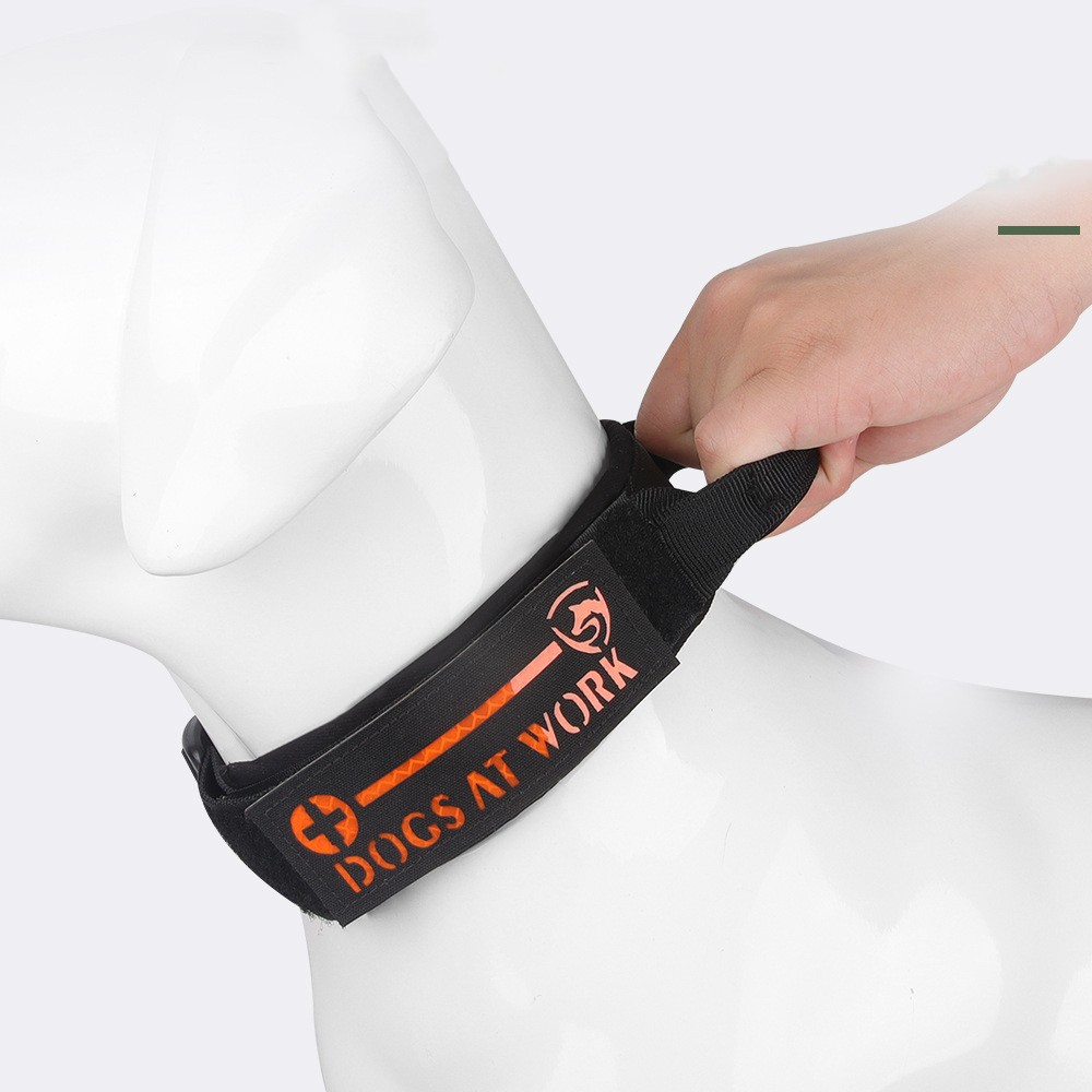 Pet Collar Image 3