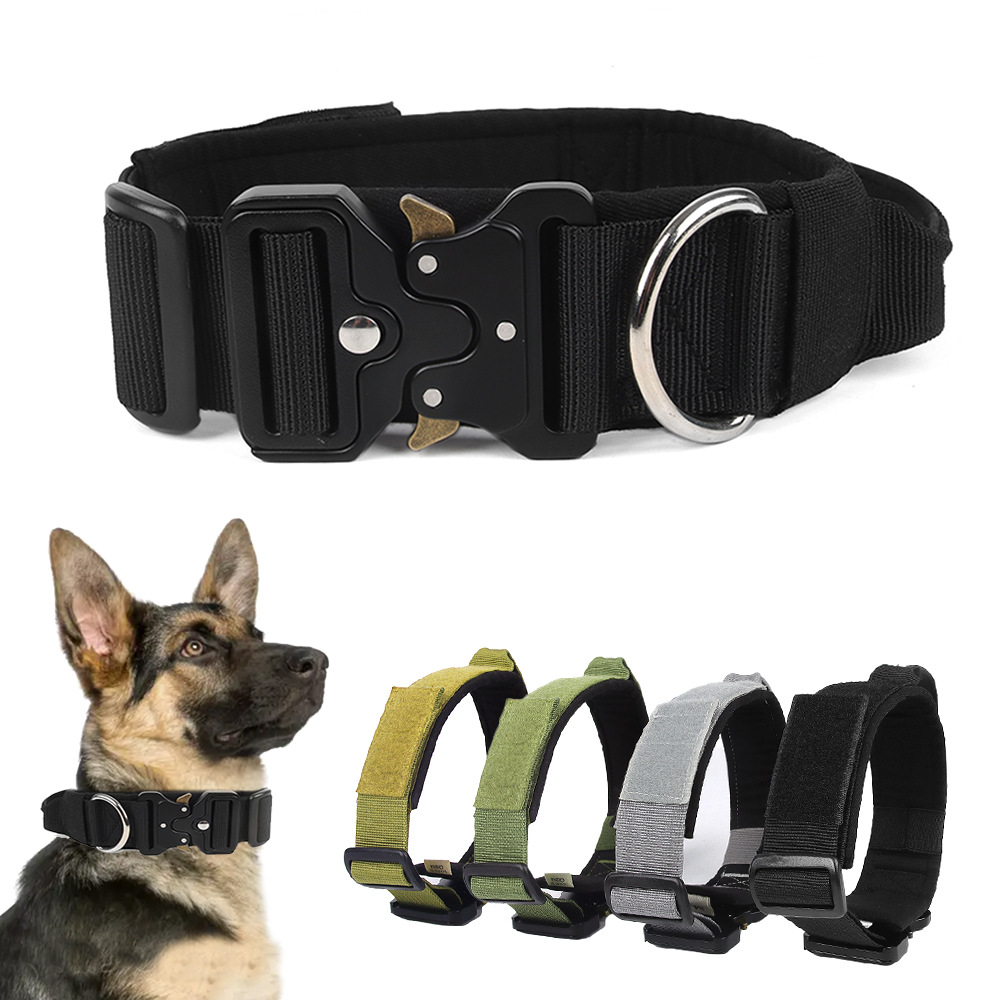 Pet Collar Image 1