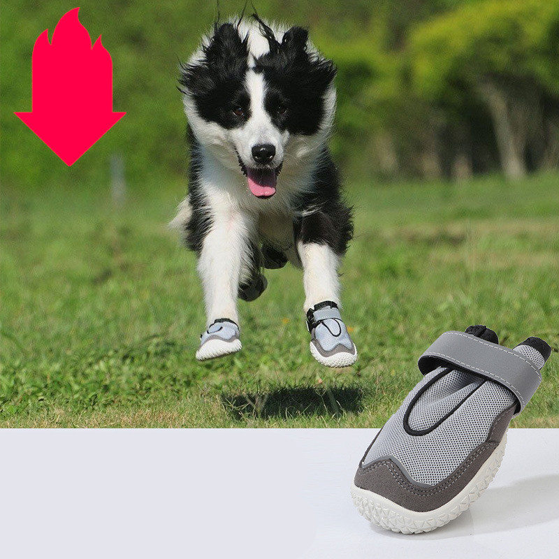 Pet Shoes Image 2
