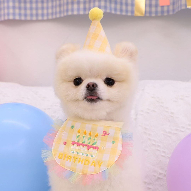 Dog Party Cake Bib