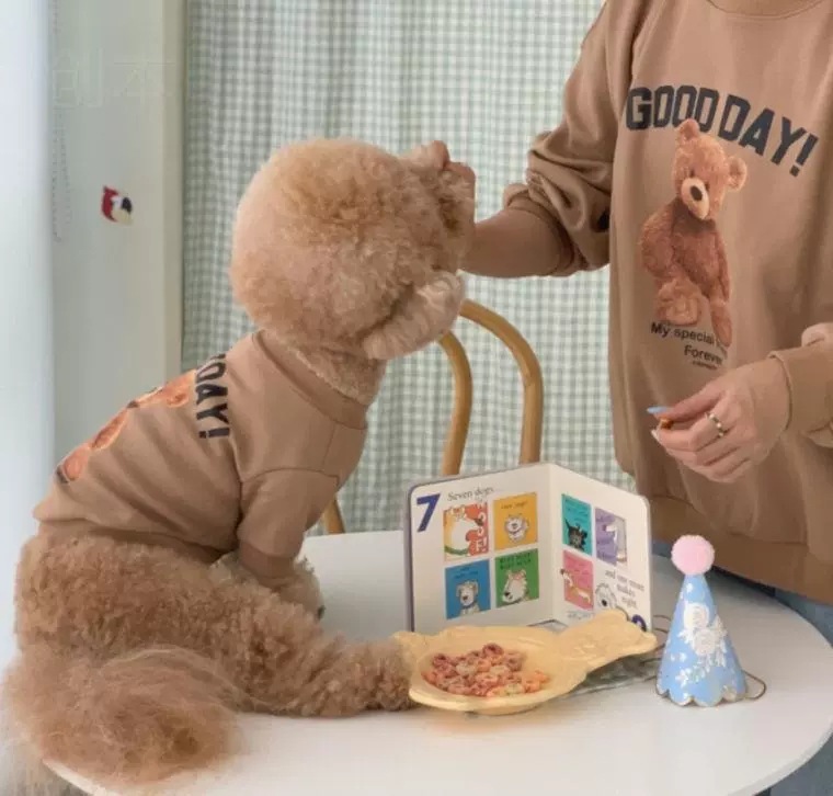 Winter Teddy Bear Pet Clothing for Cats and Dogs