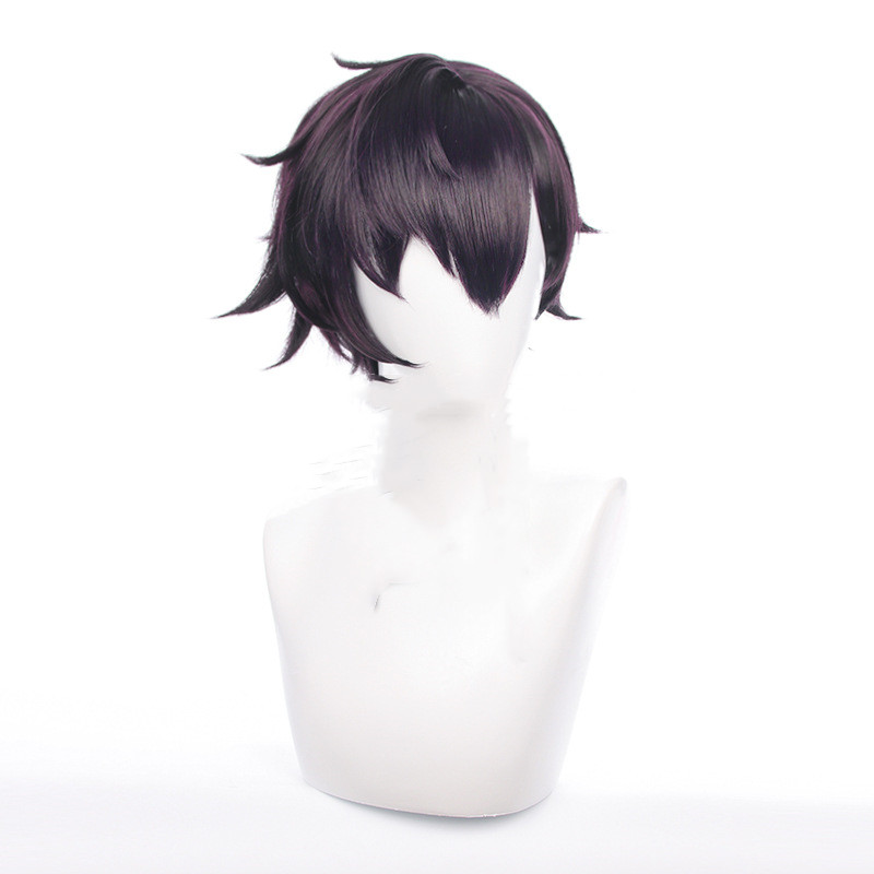 Men's Cosplay Wig 2