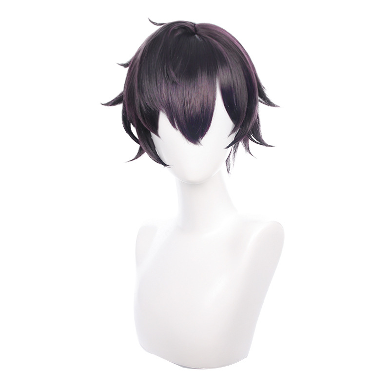 Men's Cosplay Wig 4
