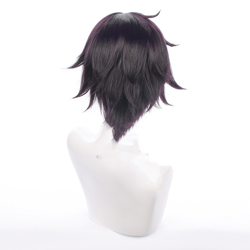 Men's Cosplay Wig 3