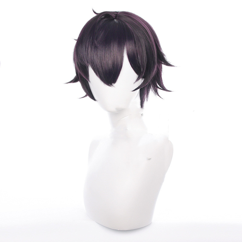 Men's Cosplay Wig 1