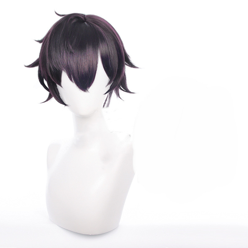 Men's Cosplay Wig 5