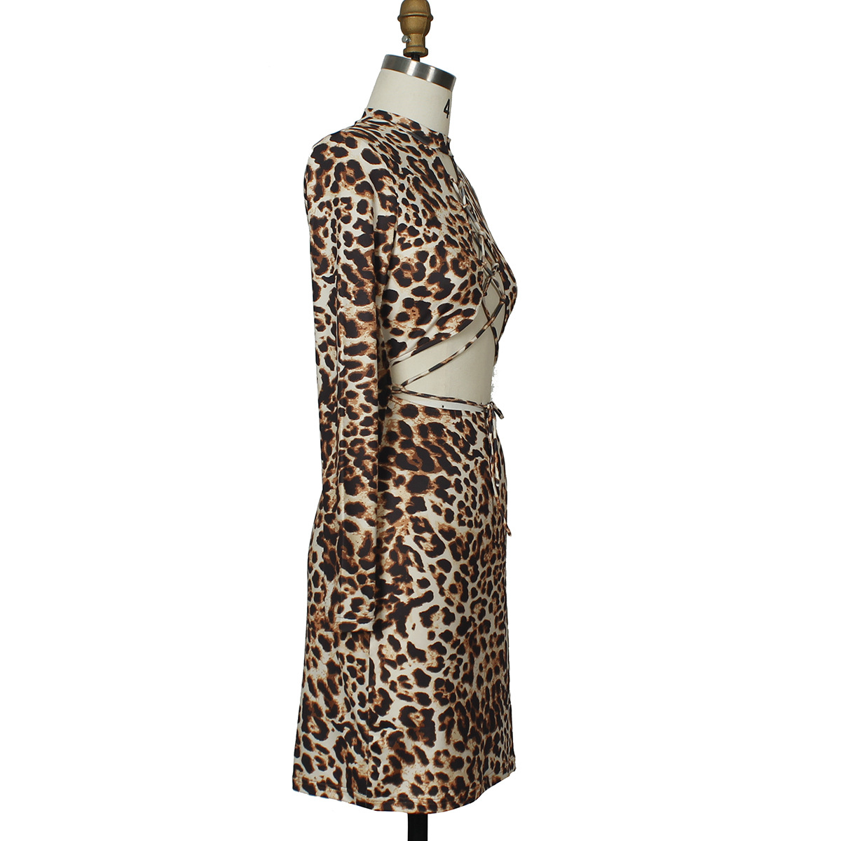 Leopard Print Dress