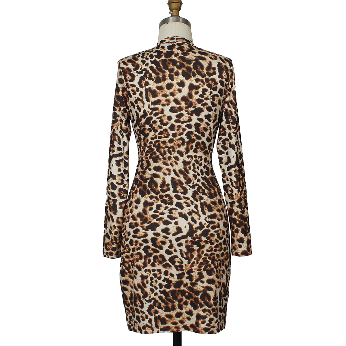 Leopard Print Dress