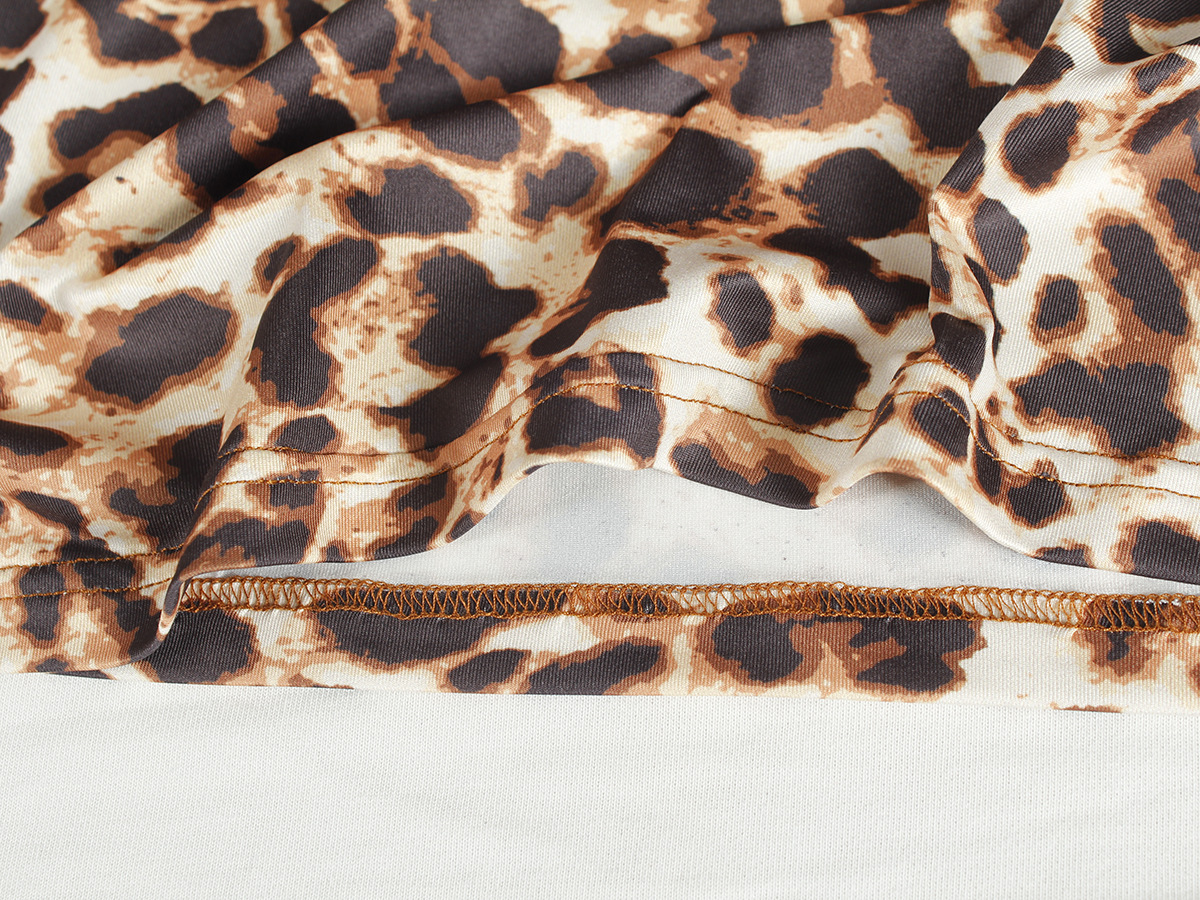 Leopard Print Dress