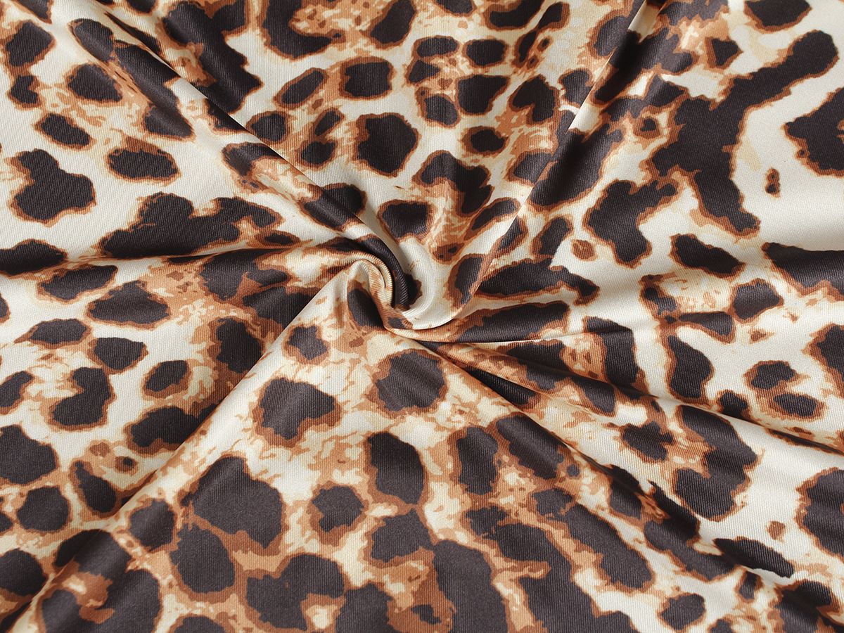 Leopard Print Dress
