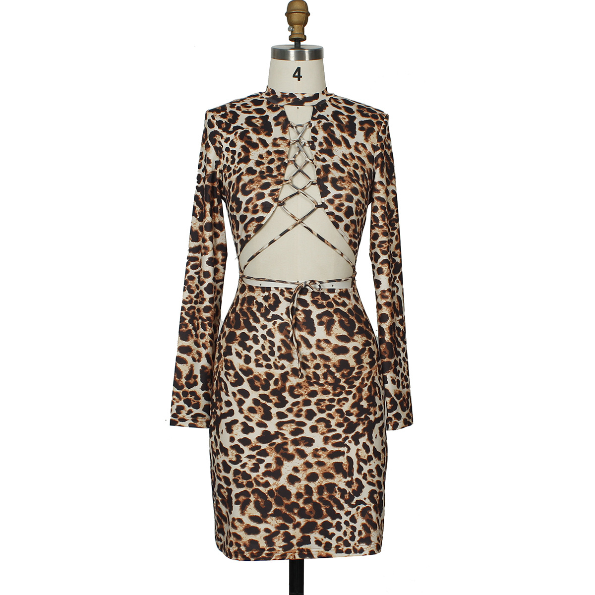 Leopard Print Dress
