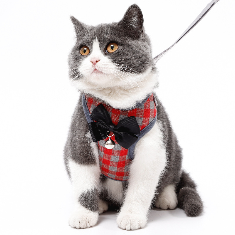 Stylish Design of the Harness
