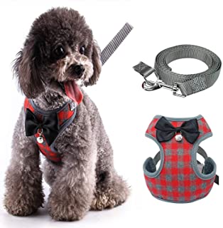 Comfortable Fit of Harness