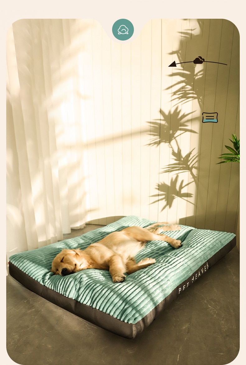 Pet Cushion Image 4
