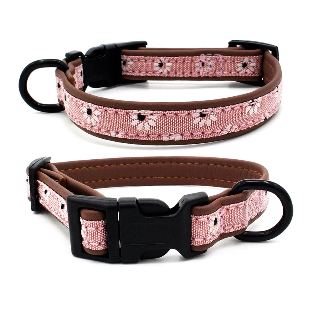 Dog Collar Features