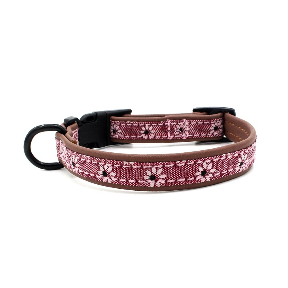 Dog Collar Design