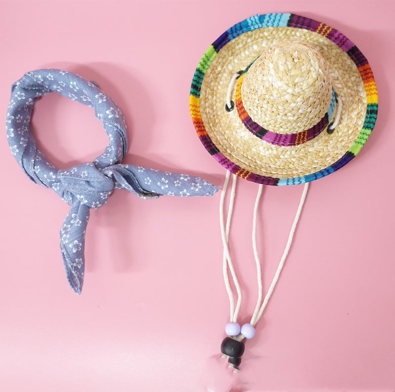 Pet Accessories Summer Outing Set Image 7