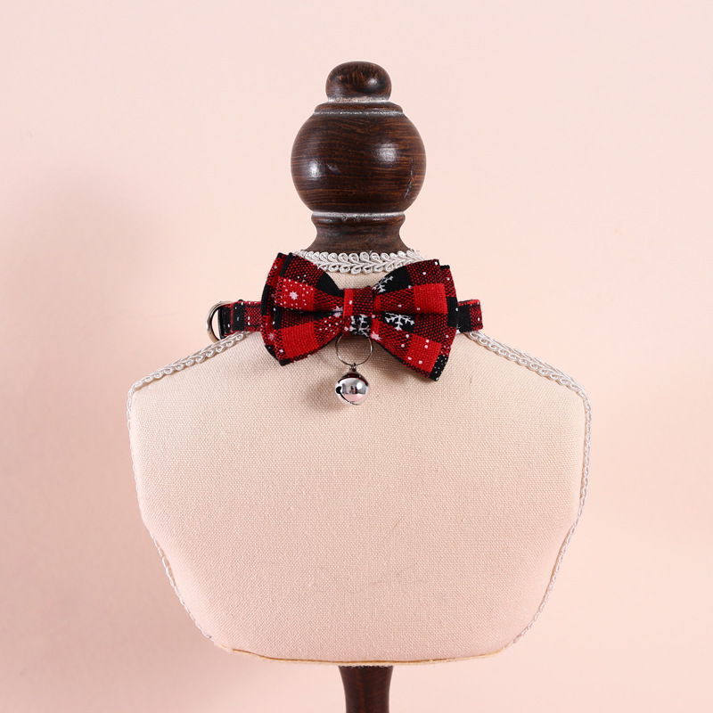 Pet Wearing Collar
