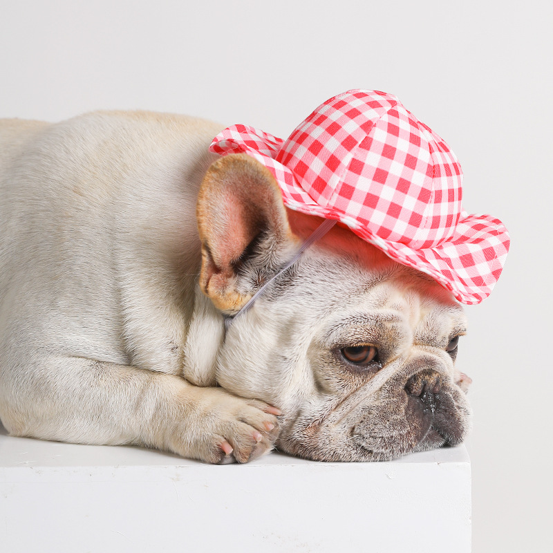 Pet Cute Fashion Plaid Sun Hat Image 7