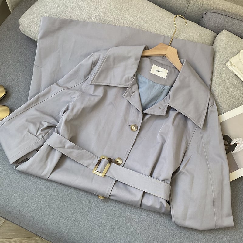 Trench Coat Front View