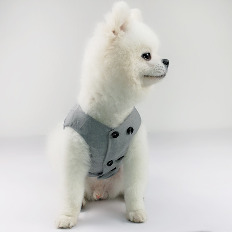 Pet Outfit 1