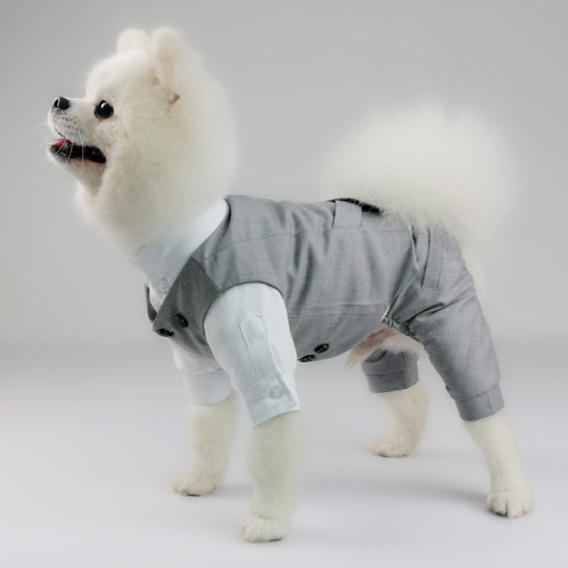 Pet Outfit 7