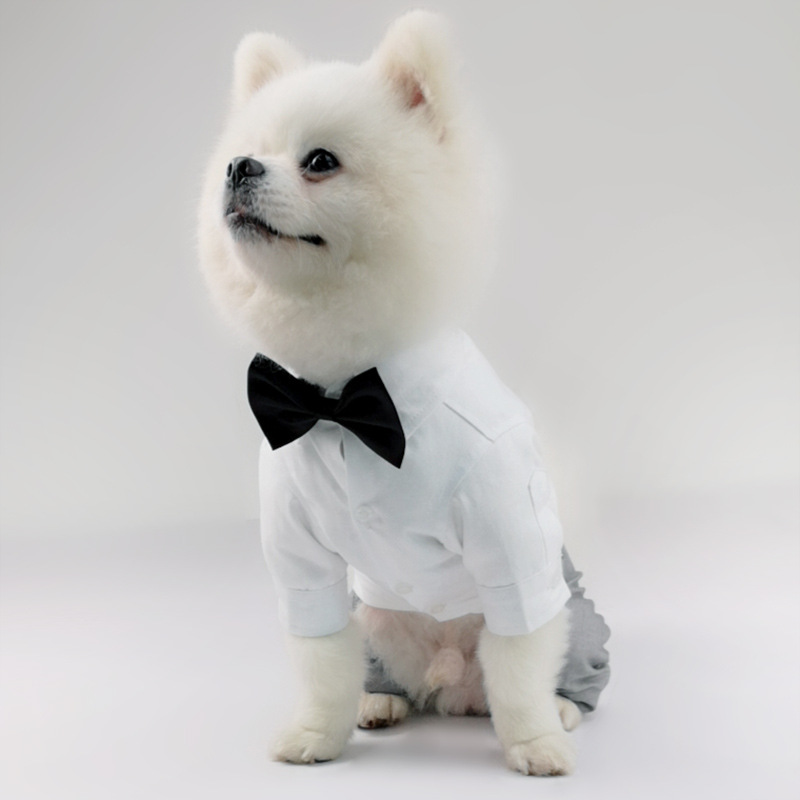 Pet Outfit 5