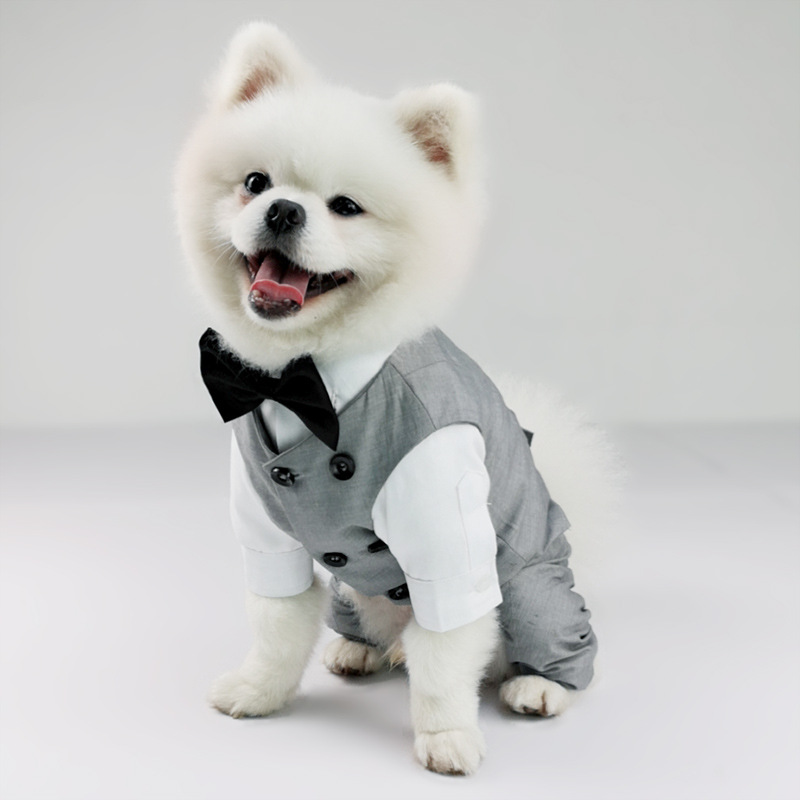 Pet Outfit 4