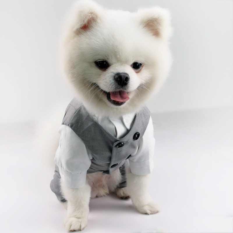 Pet Outfit 2