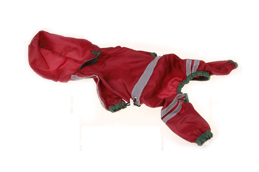 Pet Raincoat in action