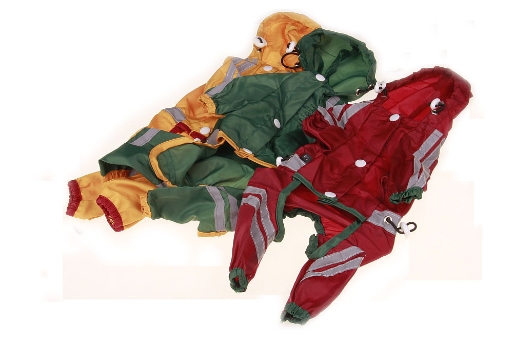 Stylish pet raincoat