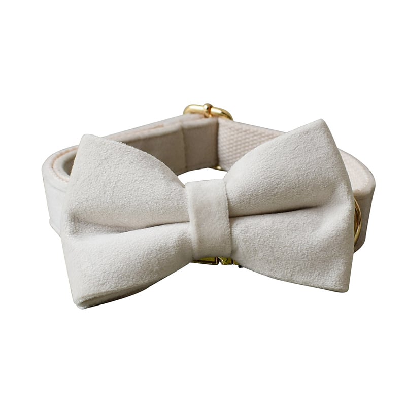 Milky White Velvet Dog Collar Image 2
