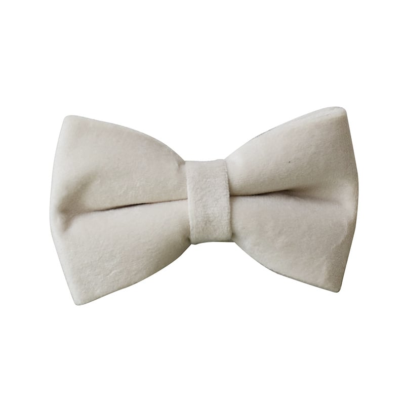 Milky White Velvet Dog Collar Image 3