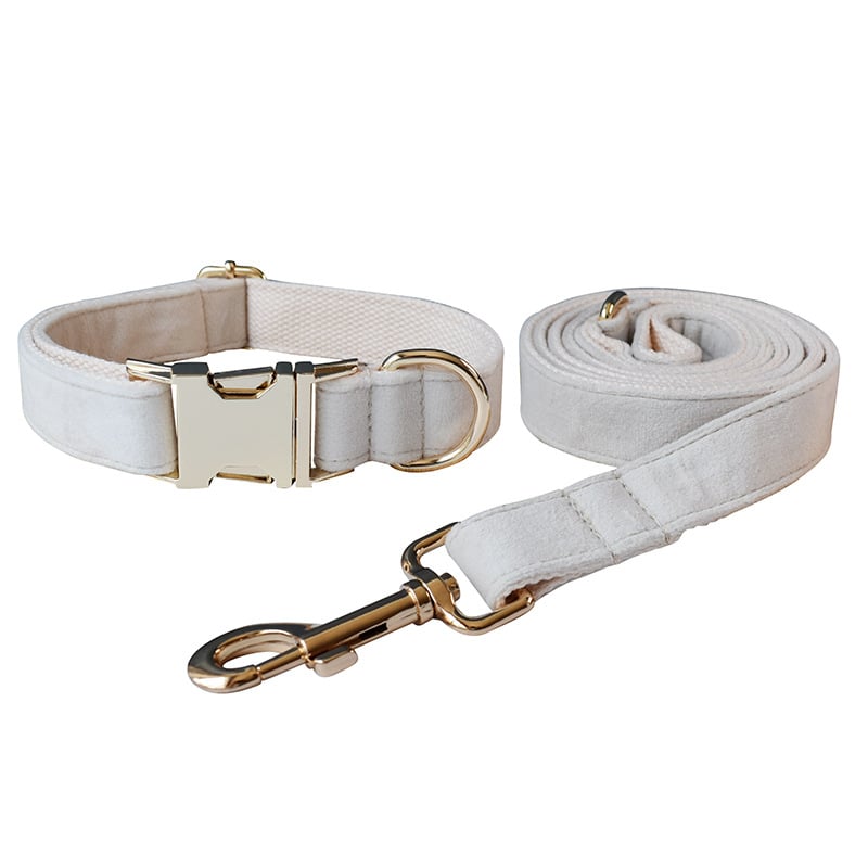 Milky White Velvet Dog Collar Image 4