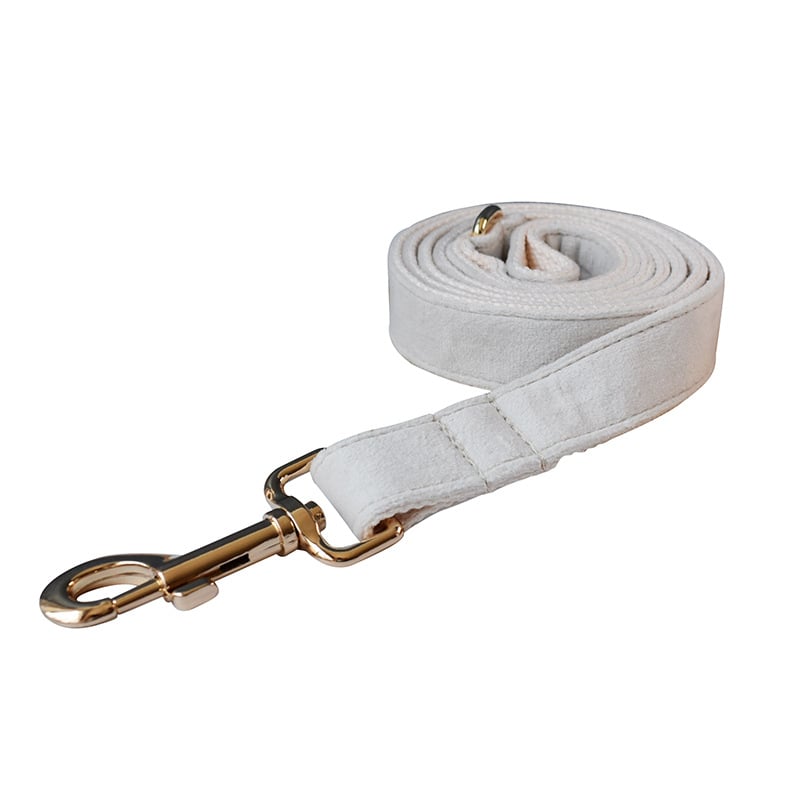 Milky White Velvet Dog Collar Image 1