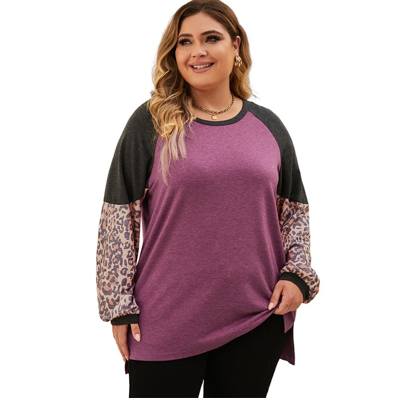 Leopard Print Sweatshirt Image 2