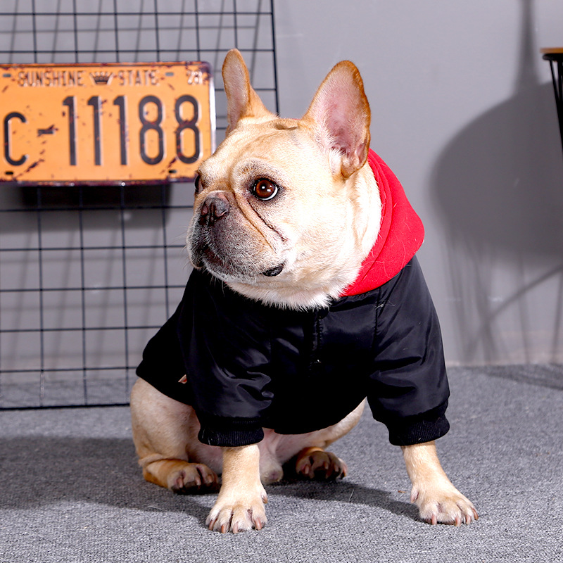 Big Dog Clothes for Labrador & Golden Retriever