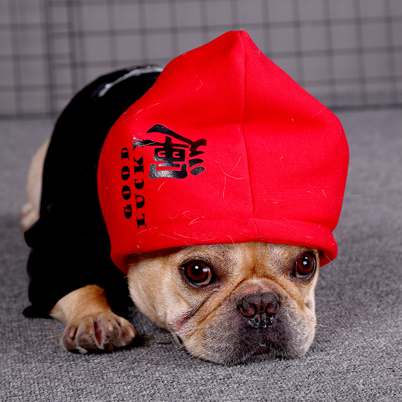 Big Dog Clothes for Labrador & Golden Retriever