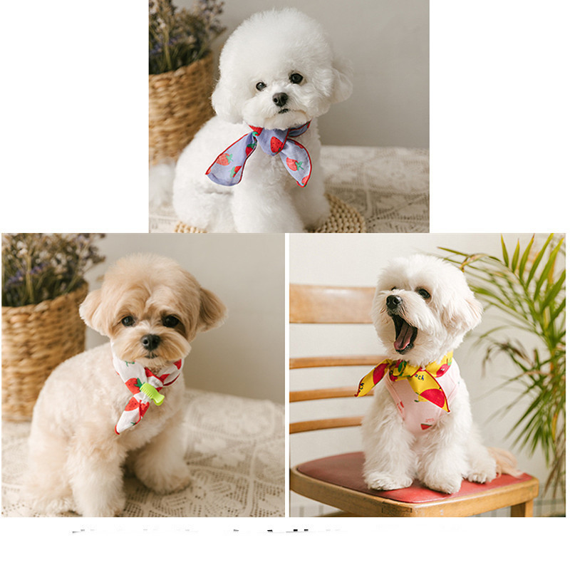 Dog Bib Scarf - Warm Florals