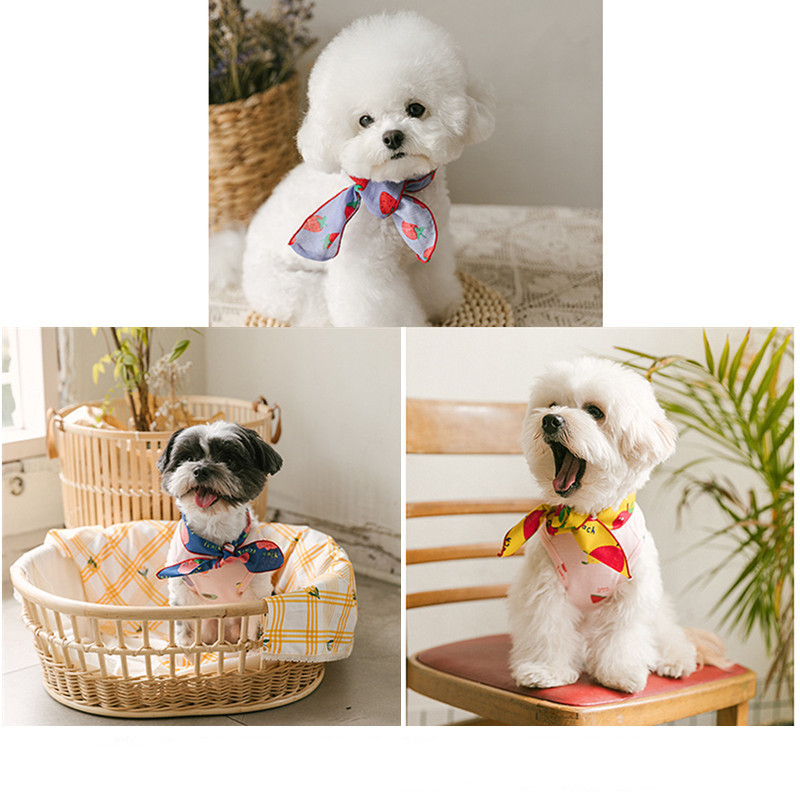 Dog Bib Scarf - Orange Apple